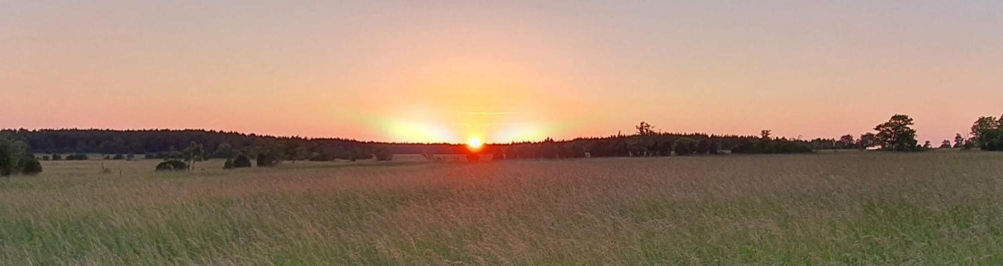 Anni Tourism Farm Villa Tammese Eksteriør bilde
