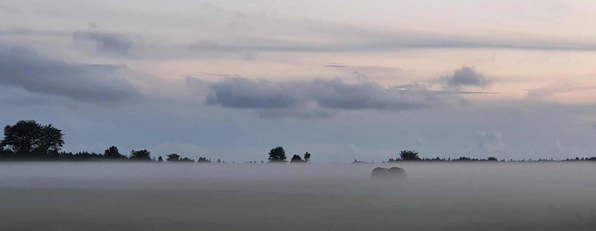 Anni Tourism Farm Villa Tammese Eksteriør bilde