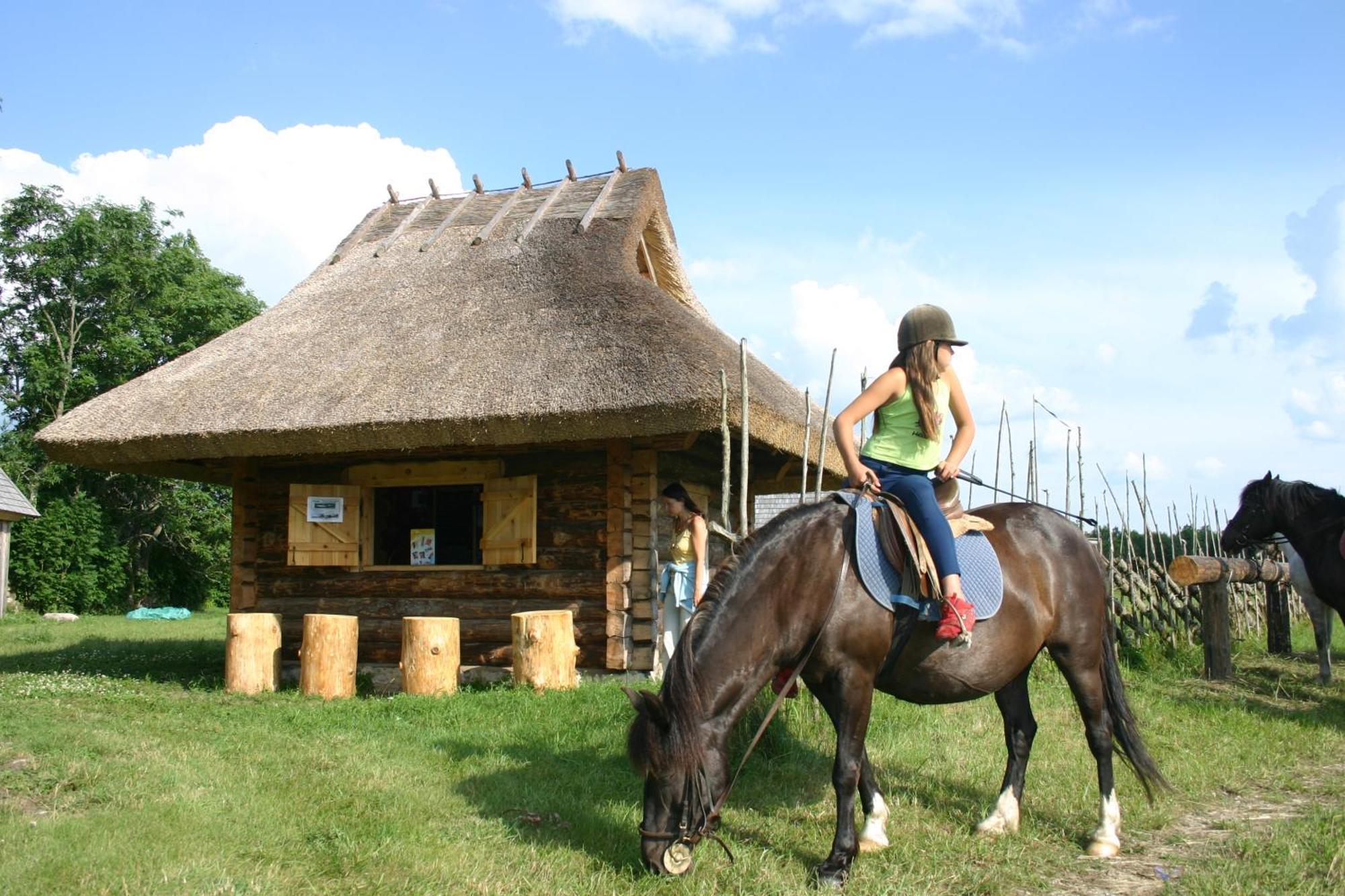 Anni Tourism Farm Villa Tammese Eksteriør bilde
