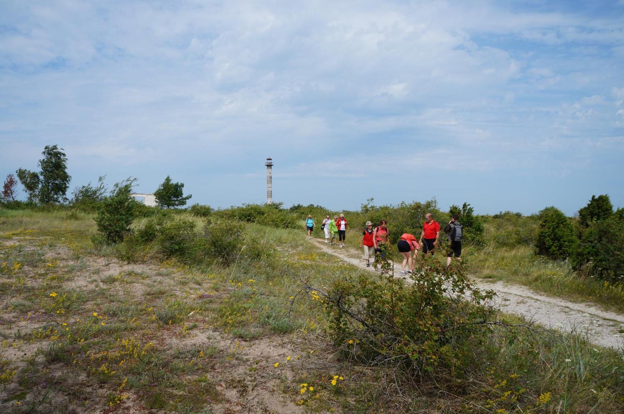 Anni Tourism Farm Villa Tammese Eksteriør bilde