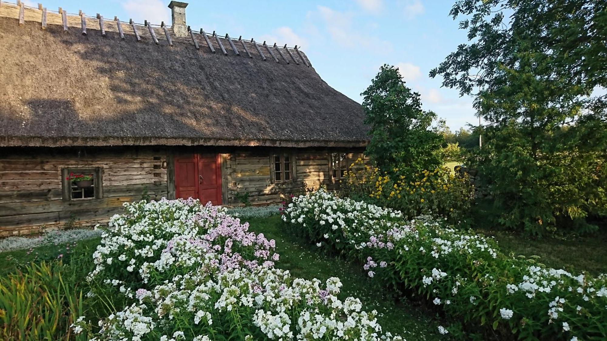 Anni Tourism Farm Villa Tammese Eksteriør bilde