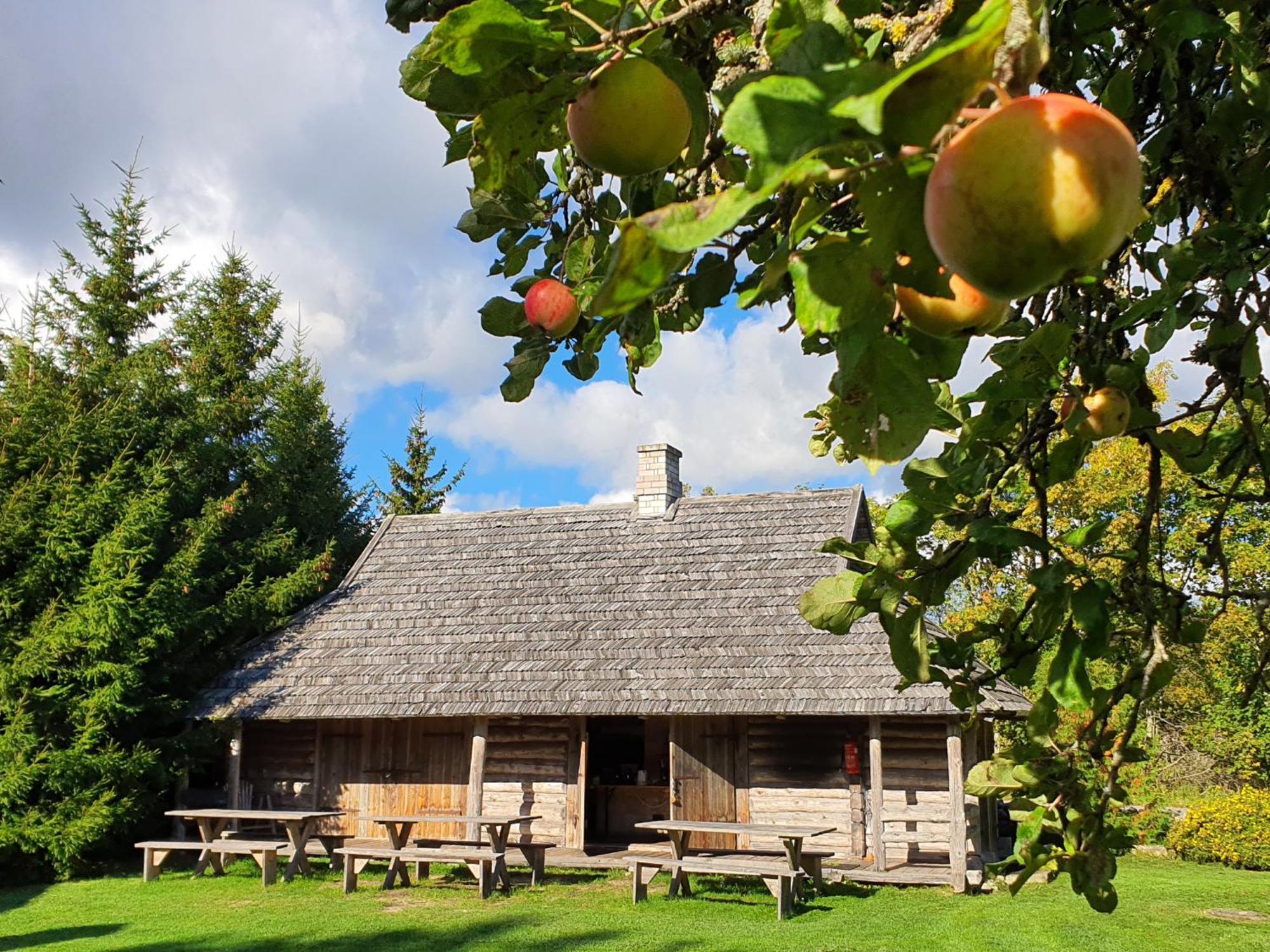 Anni Tourism Farm Villa Tammese Eksteriør bilde